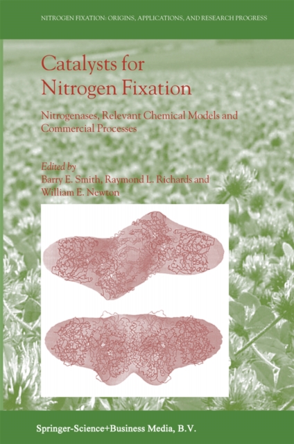 Catalysts for Nitrogen Fixation : Nitrogenases, Relevant Chemical Models and Commercial Processes, PDF eBook