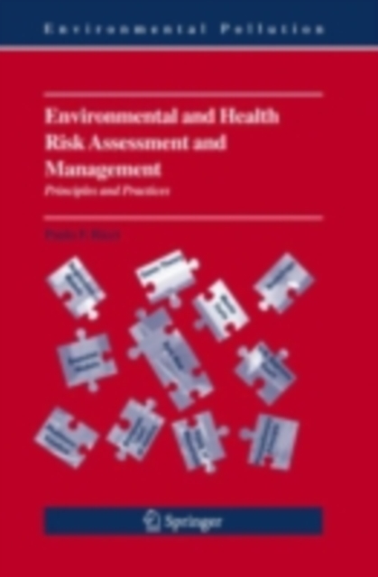 Environmental and Health Risk Assessment and Management : Principles and Practices, PDF eBook