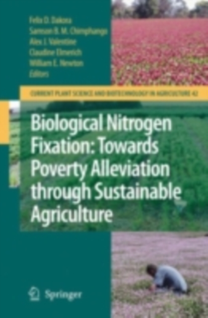 Biological Nitrogen Fixation: Towards Poverty Alleviation through Sustainable Agriculture : Proceedings of the 15th International Nitrogen Fixation Congress and the 12th International Conference of th, PDF eBook