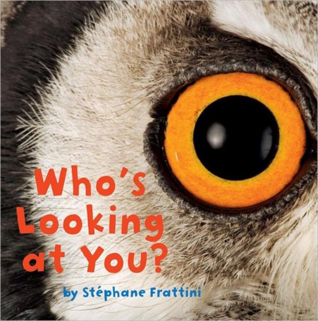 Who's Looking at You?, Hardback Book