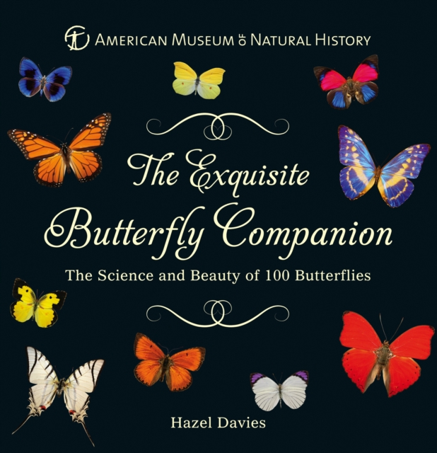 The Exquisite Butterfly Companion : The Science and Beauty of 100 Butterflies, EPUB eBook