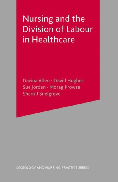 Nursing and the Division of Labour in Healthcare, PDF eBook