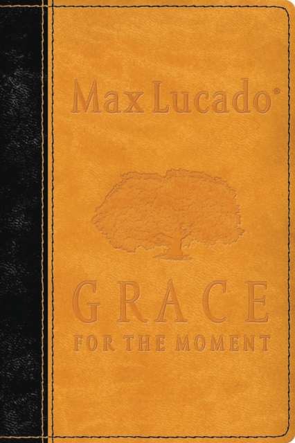 Grace for the Moment : Inspirational Thoughts for Each Day of the Year, Leather / fine binding Book
