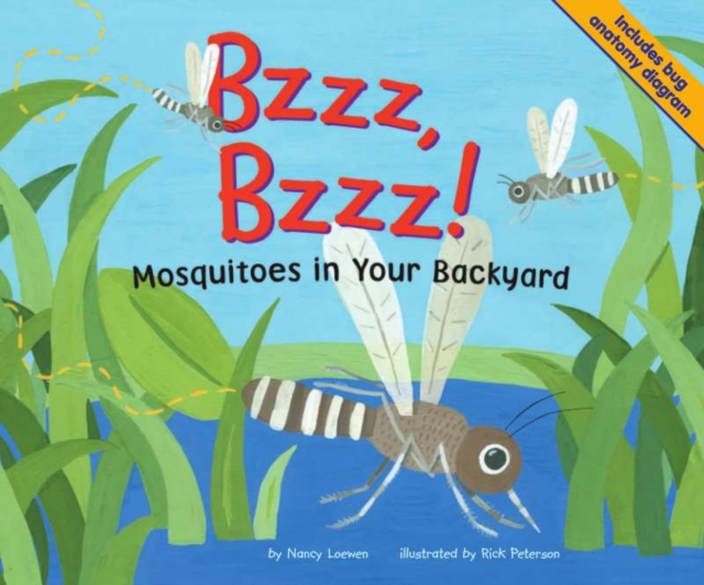 Bzzz, Bzzz!, PDF eBook