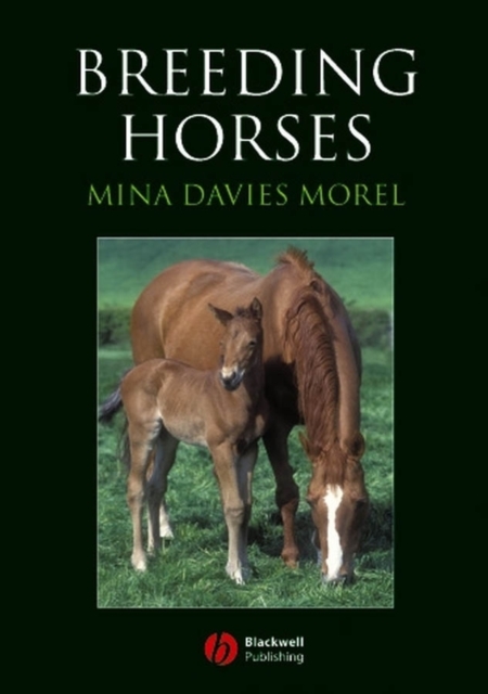 Breeding Horses, Paperback / softback Book