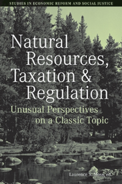 Natural Resources, Taxation, and Regulation : Unusual Perpsectives on a Classic Problem, Hardback Book