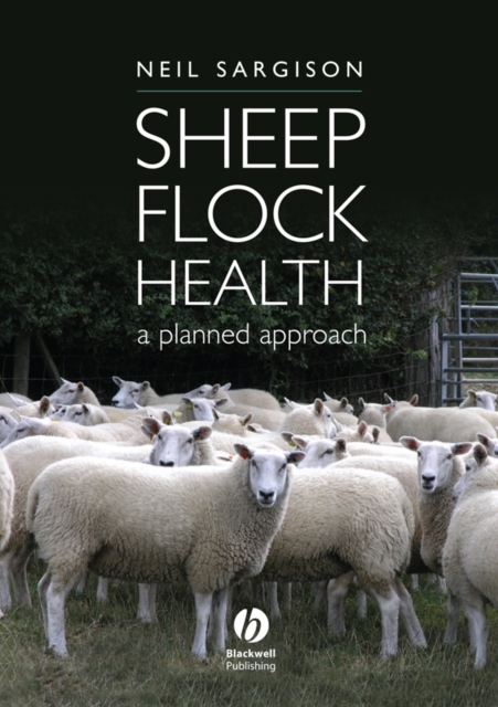 Sheep Flock Health : A Planned Approach, Hardback Book