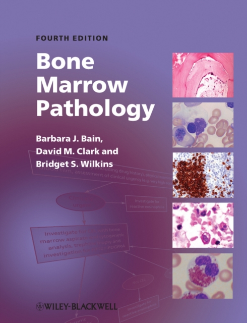 Bone Marrow Pathology, Hardback Book