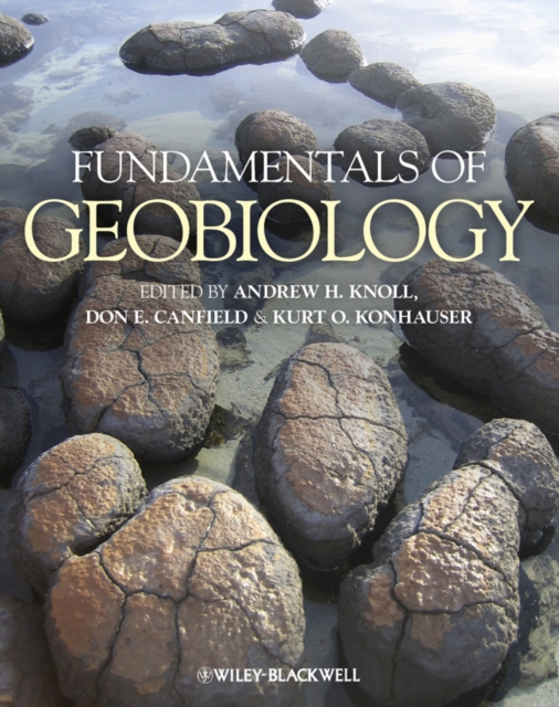 Fundamentals of Geobiology, Paperback / softback Book