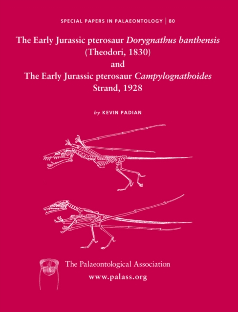 Early Jurassic pterosaur Dorygnathus banthensis (Theodori, 1830) and The Early Jurassic pterosaur Campylognathoides Strand, 1928, Paperback / softback Book