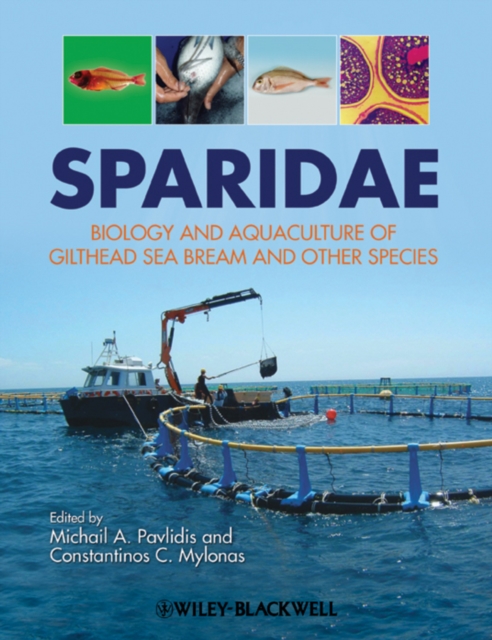 Sparidae : Biology and Aquaculture of Gilthead Sea Bream and Other Species, Hardback Book
