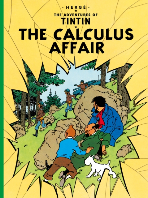 The Calculus Affair, Paperback / softback Book