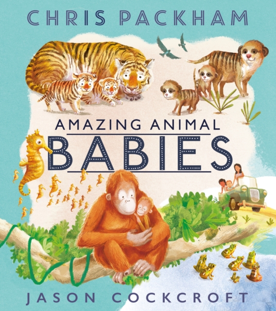 Amazing Animal Babies, Paperback / softback Book