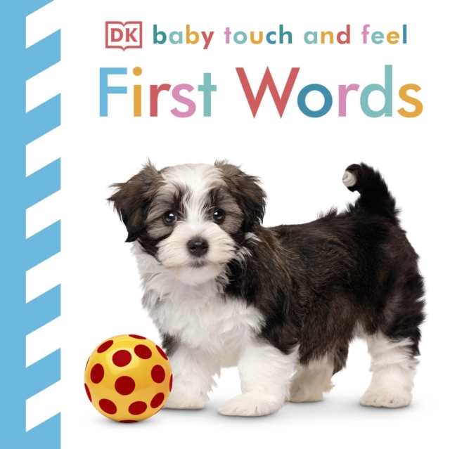Baby Touch and Feel First Words, Board book Book