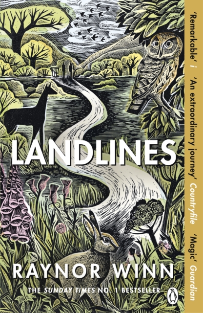 Landlines : The remarkable story of a thousand-mile journey across Britain from the million-copy bestselling author of The Salt Path, Paperback / softback Book