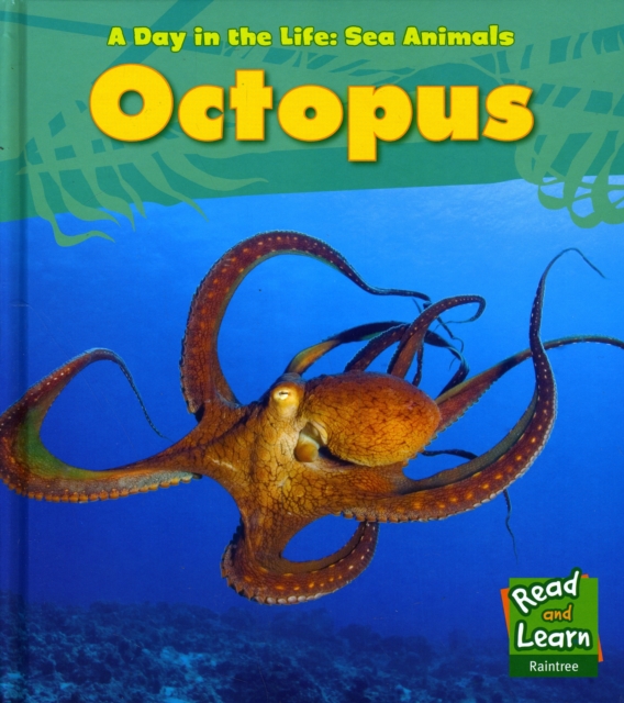 Octopus, Hardback Book