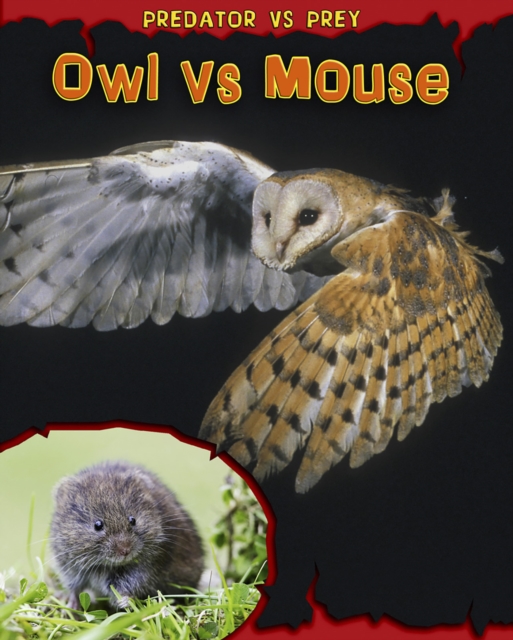 Owl vs Mouse, Hardback Book