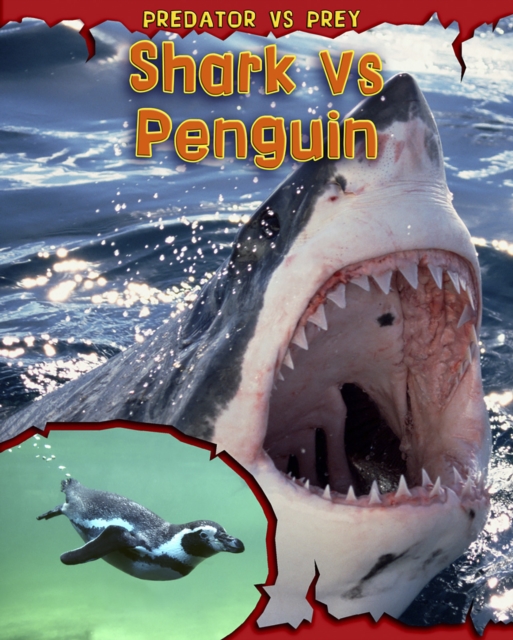 Shark vs Penguin, Hardback Book