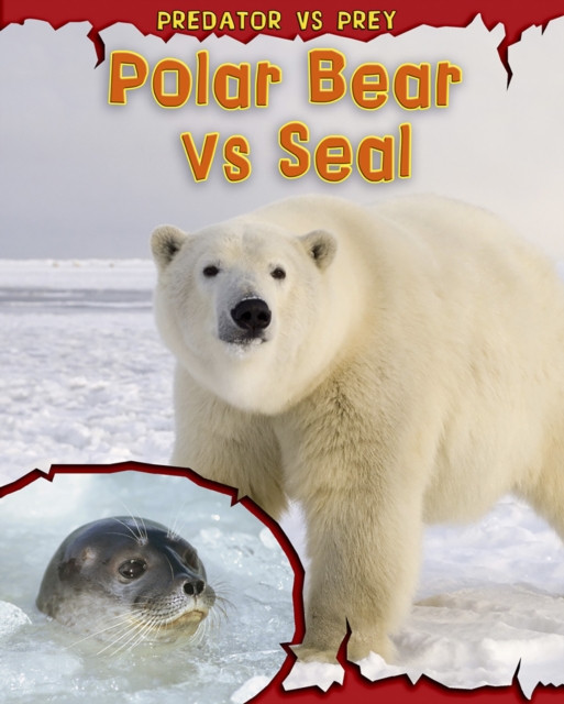 Polar Bear vs Seal, Hardback Book