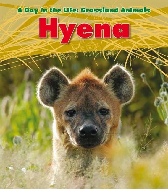 Hyena, Paperback / softback Book