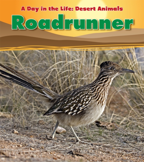 Roadrunner, Paperback Book