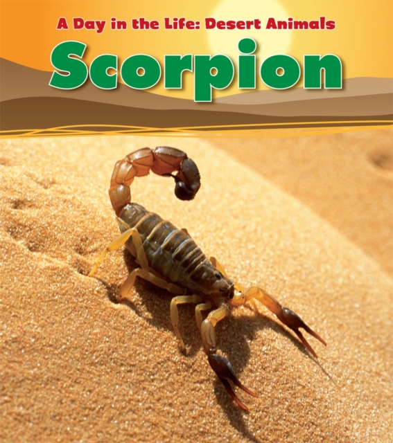 Scorpion, Paperback / softback Book