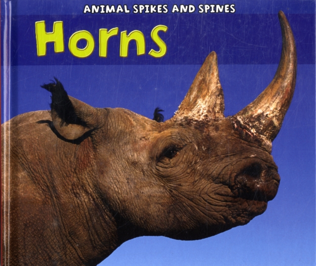 Horns, Hardback Book