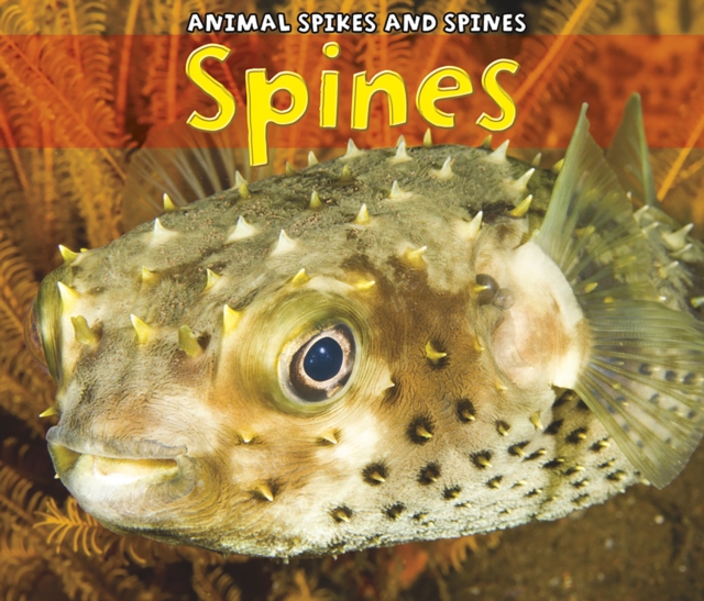 Spines, Paperback Book