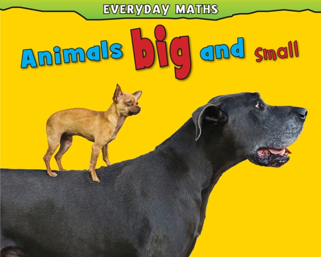 Everyday Maths : Pack A, Hardback Book