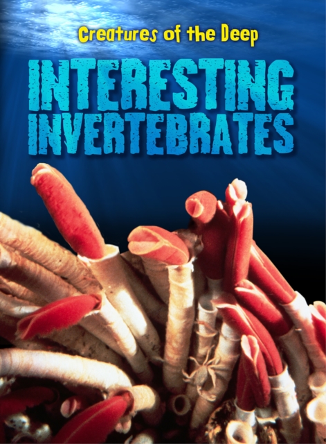 Interesting Invertebrates, Hardback Book