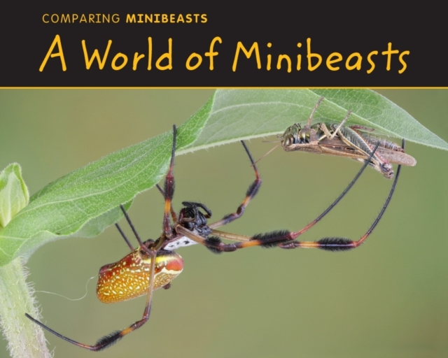 A World of Minibeasts, Paperback Book