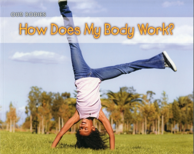 How Does My Body Work?, Paperback Book