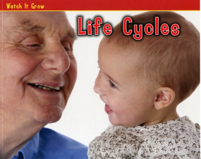 Life Cycles, Paperback Book