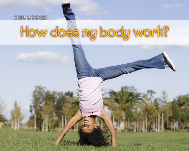 How Does My Body Work?, PDF eBook
