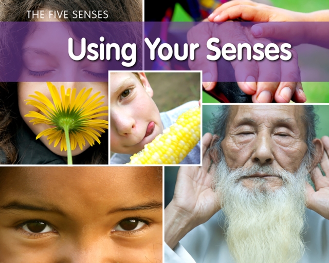 Using Your Senses, PDF eBook