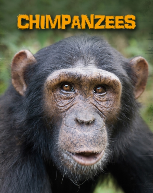Chimpanzees, Hardback Book