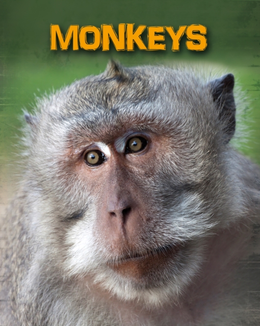Monkeys, Hardback Book
