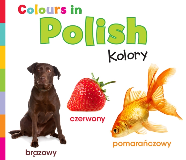 Colours in Polish : Kolory, Hardback Book