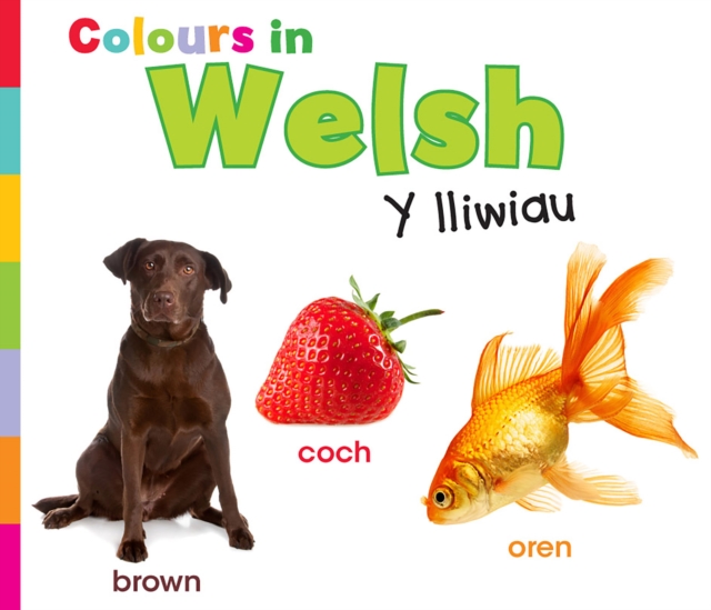 Colours in Welsh : Y lliwiau, Paperback / softback Book