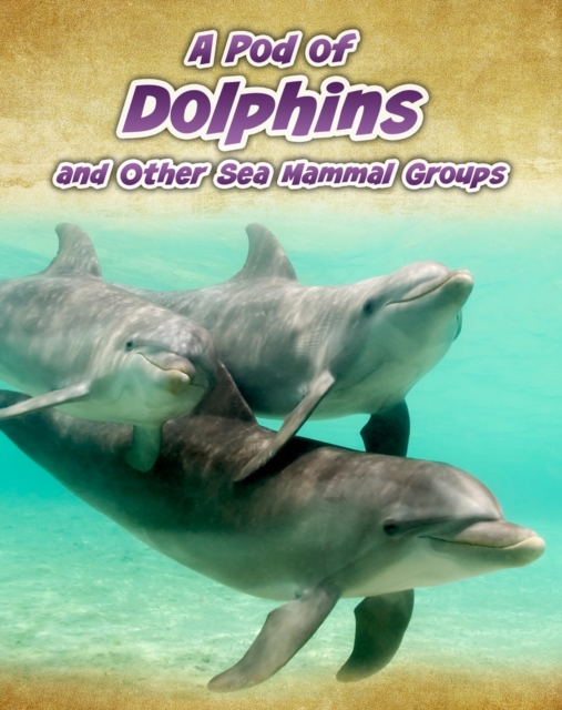 A Pod of Dolphins : and Other Sea Mammal Groups, Hardback Book