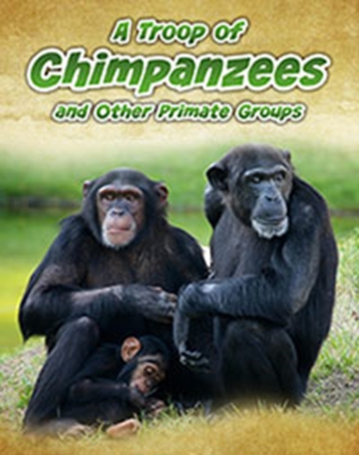 A Troop of Chimpanzees : and Other Primate Groups, Paperback / softback Book
