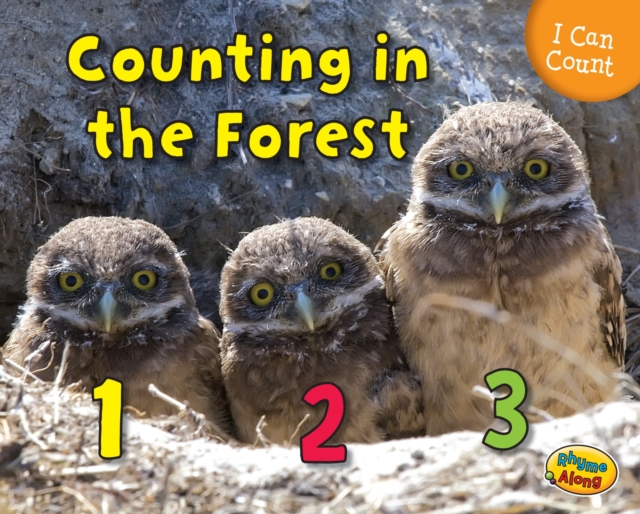 Counting in the Forest, Hardback Book