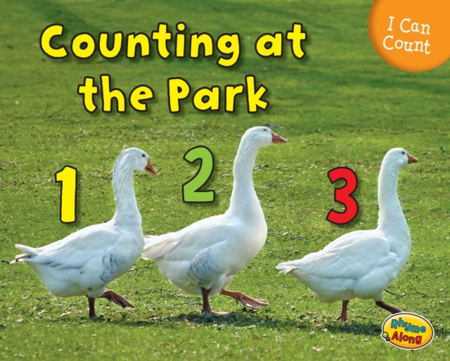 Counting at the Park, Hardback Book