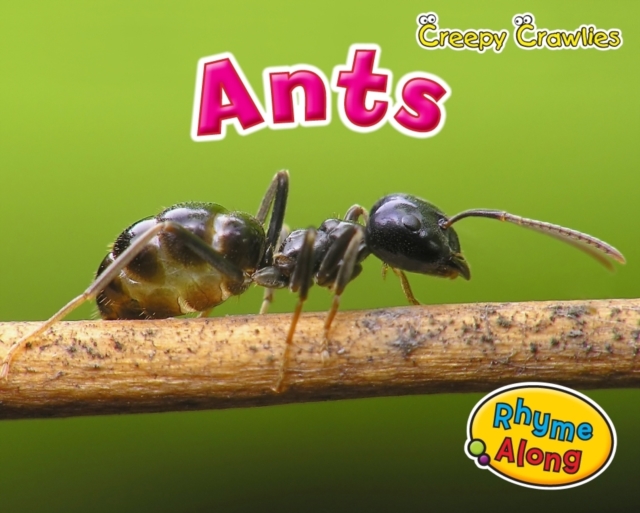 Ants, Paperback Book