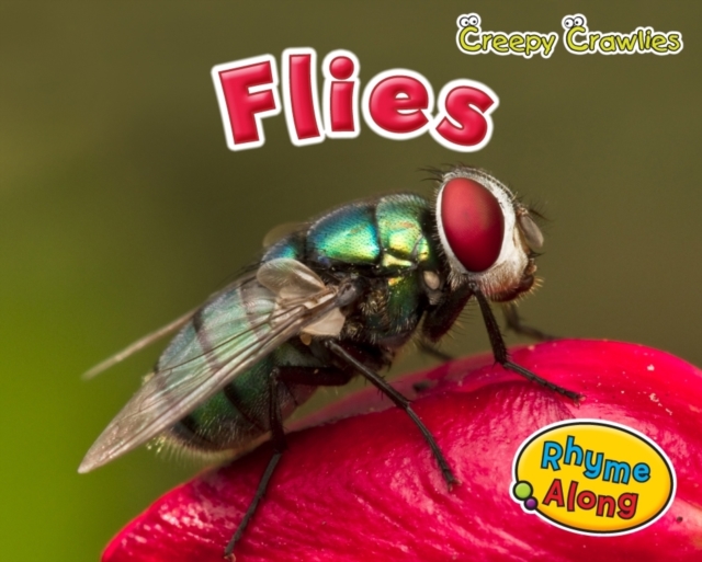 Flies, Paperback / softback Book