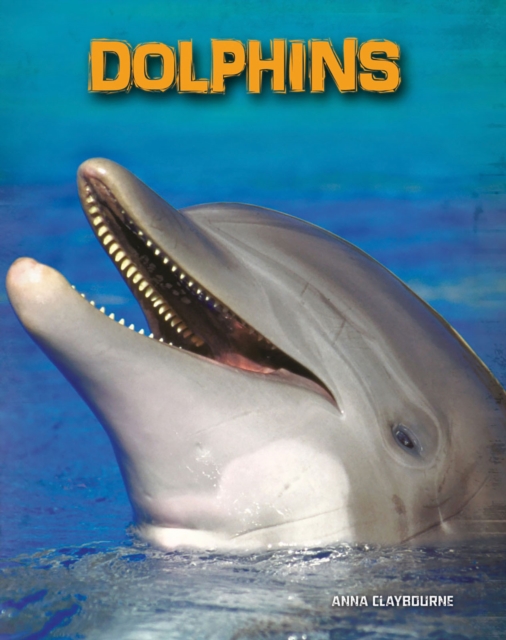 Dolphins, Hardback Book