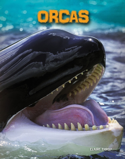 Orcas, Hardback Book