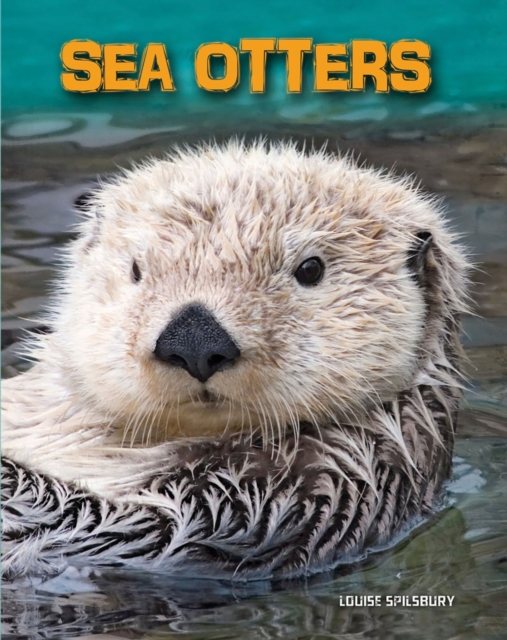 Sea Otters, Hardback Book