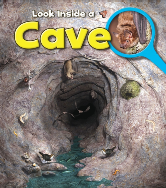 Cave, Hardback Book