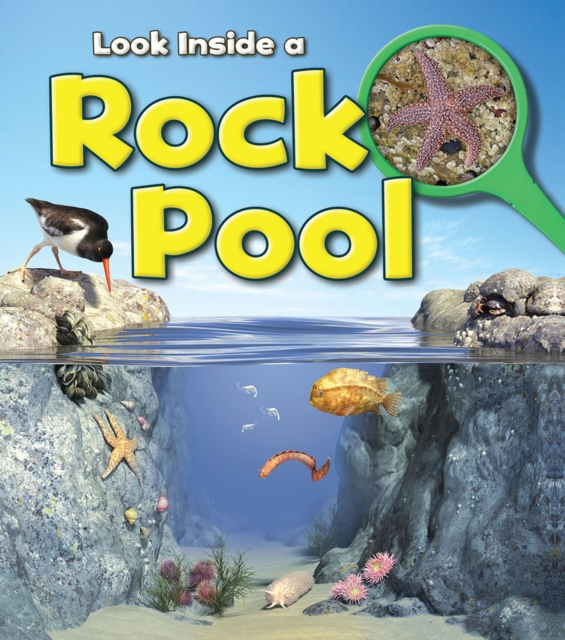 Rock Pool, Hardback Book